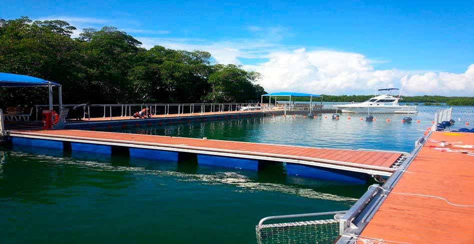 Read more about the article Cayo Blanco Dolphinarium